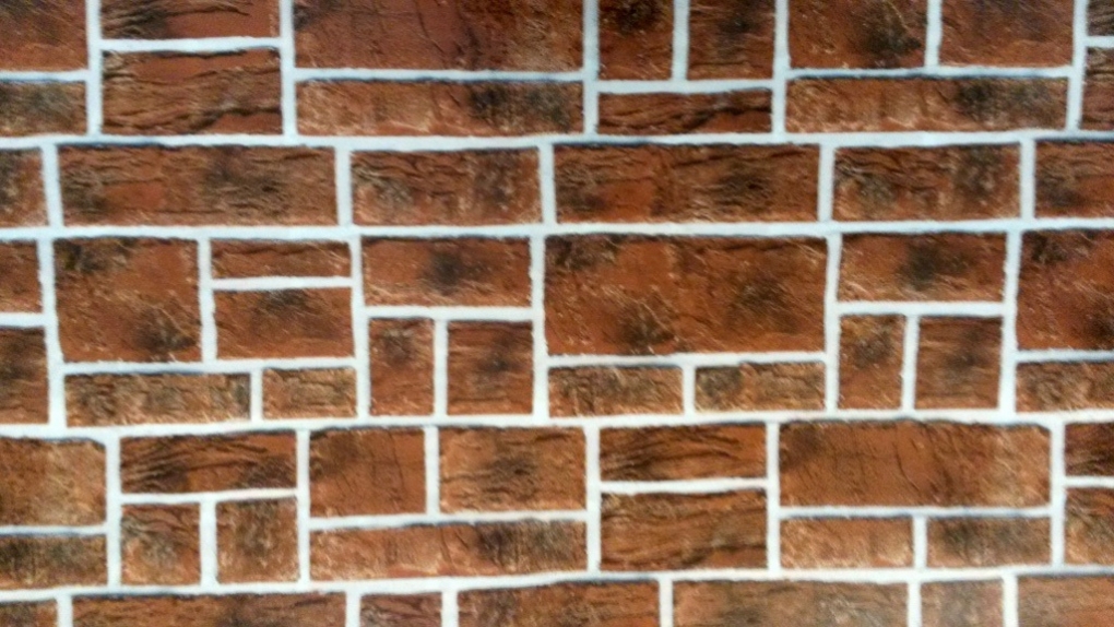 фото Профнастил МП 18 ECOSTEEL двусторонний
