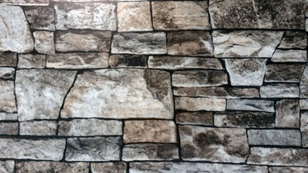 фото МП Гладкий лист ECOSTEEL