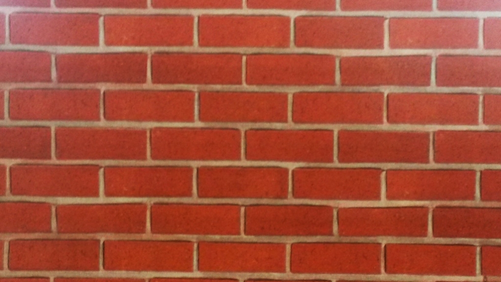 фото Профнастил МП 18 ECOSTEEL Textur